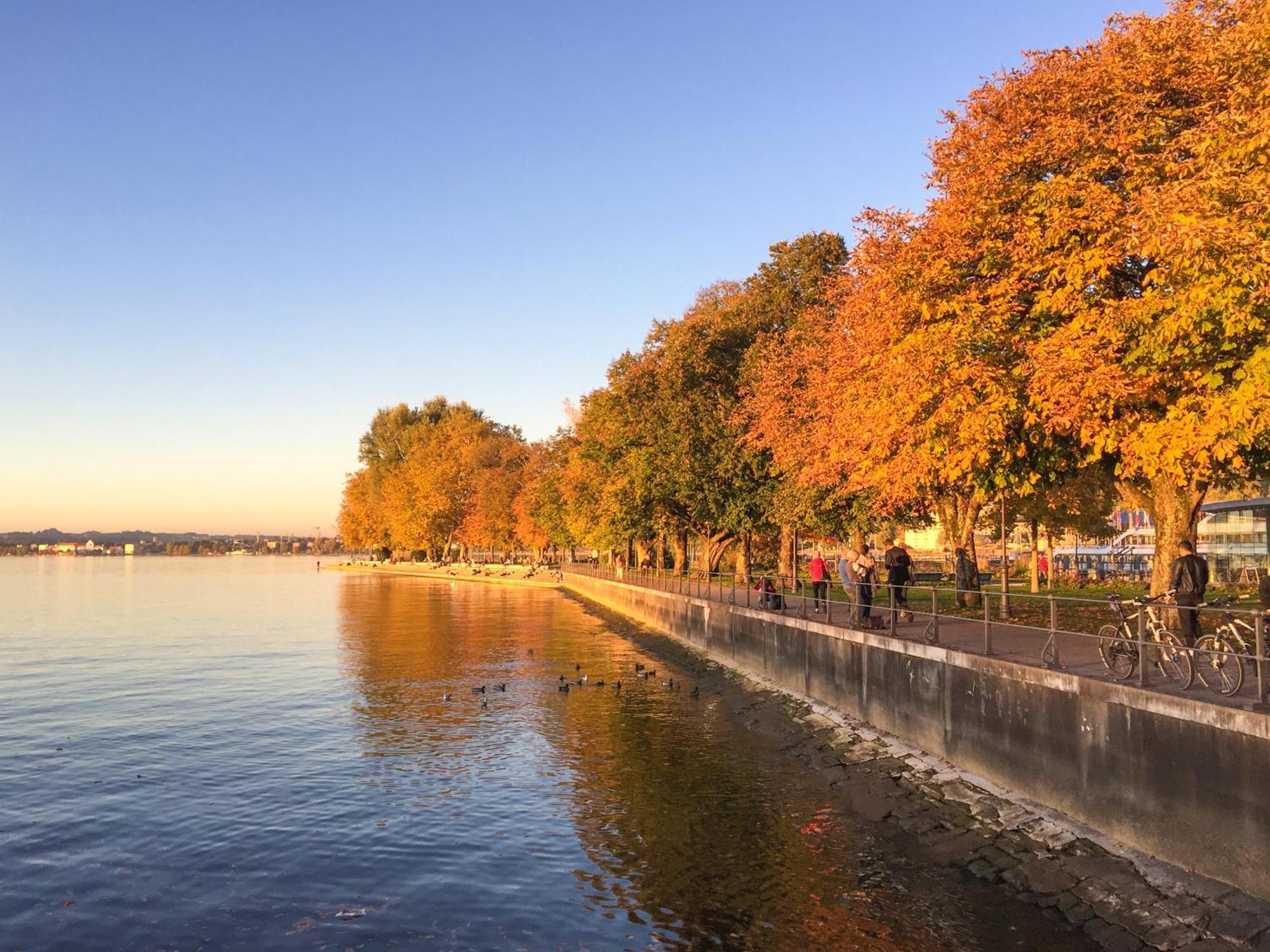 Seeblick Bregenz - Mit Parkgarage Exterior photo